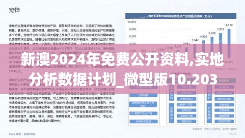 2024新澳最准最快资料,数据驱动方案实施_R版32.141