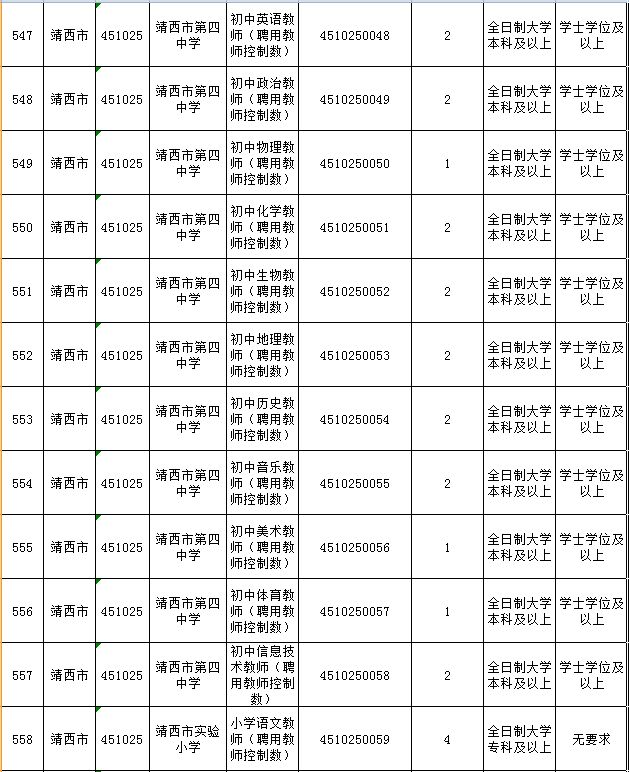 靖西县小学最新招聘信息概览，岗位、要求与申请指南